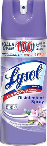 Lysol Disinfectant Spray, Sanitizing and Antibacterial Spray, For Disinfecting and Deodorizing, Early Morning Breeze, 1 Count, 12.5 fl oz each, Packaging may vary